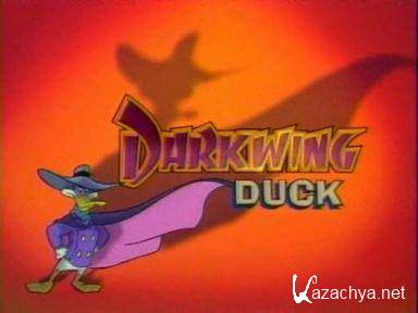   1-91  / Darkwing Duck ( )  