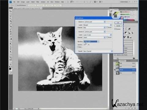  piXel:   Adobe Photoshop CS4 (2009)