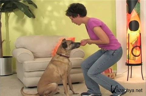 Training Your Adopted Dog /   (2006) DVDRip