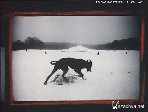 Фотосьемка: контрольные отпечатки: 1 и 2 часть (2006) DVDRip Фотосьемка: контрольные отпечатки: 1 и 2 часть (2006) DVDRip