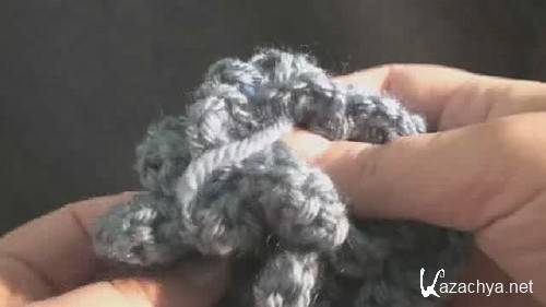 Teresa Richardson: How to Crochet a Flower /  :     (2009) CamRi