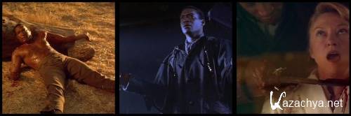  2:    / Candyman II: Farewell to the Flesh (1995/DVDRip)