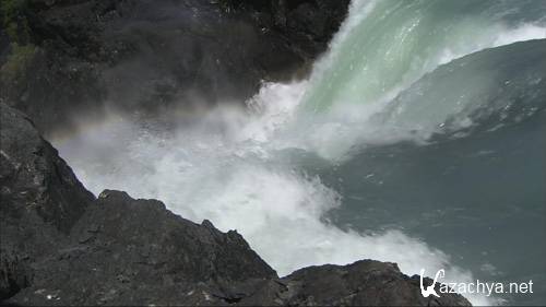 ������ ����� Water Life (2007) BDRip 720p