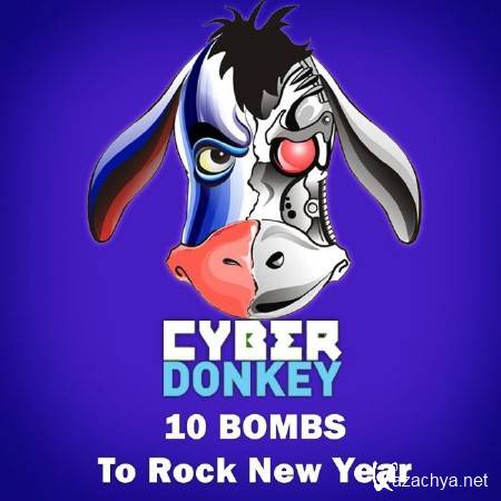 VA - 10 Bombs To Rock New Year (2011)
