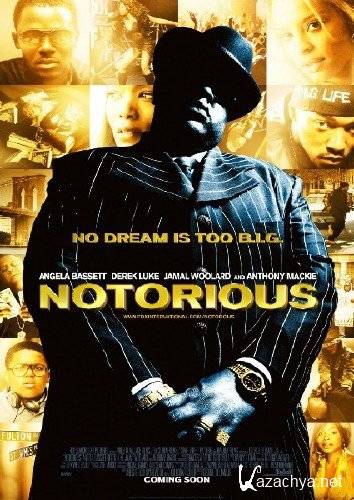   / Notorious (2009) DVDRip
