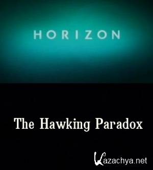  /The Hawking Paradox (2005) SATRip  