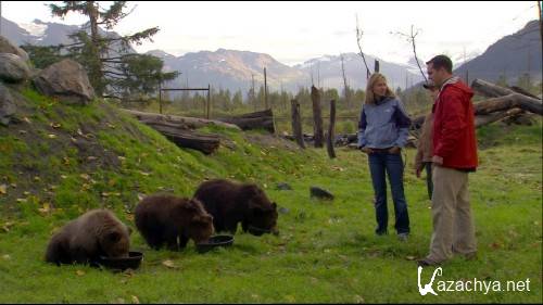 1000 ,   .  / Discovery: (2007) BDRip 720p 