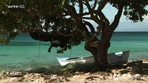     / Die neuen Paradiese Dominikanische Republik (2010) HDTVRip 720p