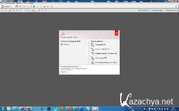 Adobe Acrobat X Professional 10.0.0.396   