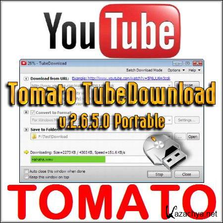 Tomato TubeDownload v.2.6.5.0 Portable