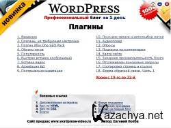       Wordpress (. /2009)