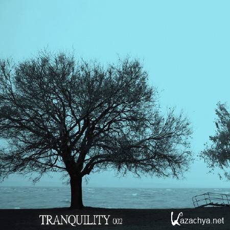 VA - Tranquility 002 (2011) MP3