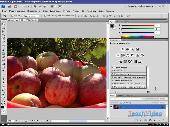  Adobe Photoshop CS4 (2010/RUS)