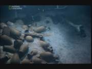 National Geographic:    /Ghosts Of The Black Sea (2007/SATRip)
