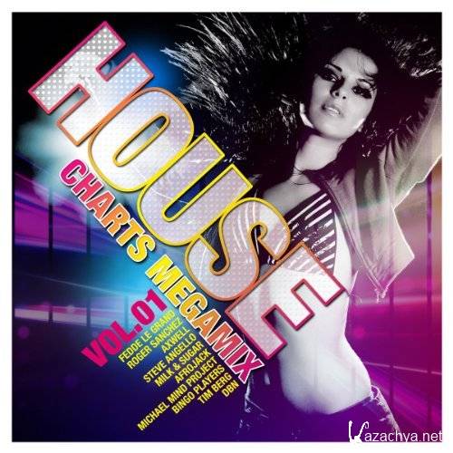 VA - House Charts Megamix Vol.1 (2011)