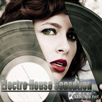 VA - Electro House Sensation (26.01.2011) MP3