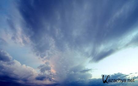 ������� ����