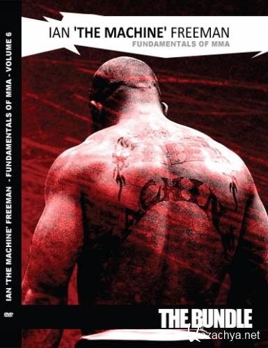   -  MMA / Ian Freeman - Fundamentals of MMA (6 DVD | 2010) DVDRip