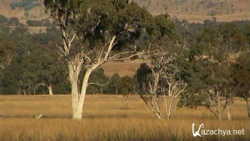    / Escape to The Outback (2007 / DVDRip) 