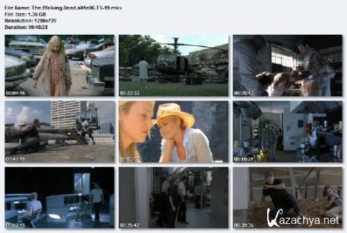  e / The Wlking Dead / e 1. 6   6 (DLRi/2010/10.85 Gb)
