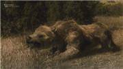 : - / Mega Beasts: Bear Dog (2009) HDTVRip 720p