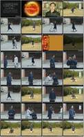     / Wudang Chun Yang Men Series 12 DVD (2011) DVDRip