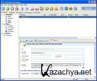 Free Download Manager 3.5.954 RC  Portable (2011)