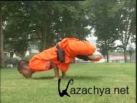    / The Shaolin virgin boy exercise (2011) DVDRip