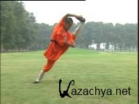    / The Shaolin virgin boy exercise (2011) DVDRip