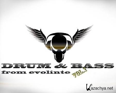 VA - Drum & Bass from evolinte vol.1 (2011) MP3