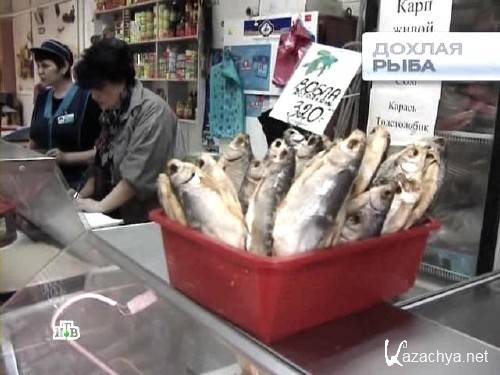 ������ ��-������. ������ ���� (���� 2011.02.06) SATRip