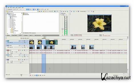   Sony Vegas () 