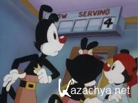   (99   99) /  / Animaniacs / 1993 / DVDRip