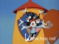   (99   99) /  / Animaniacs / 1993 / DVDRip