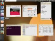 Ubuntu Netbook Edition 10.10 (for Intel Classmate PC NL2) (2011/RUS)