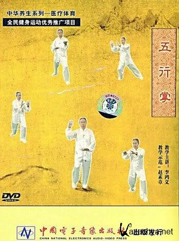     / Wu Xing Zhang Qi Gong (2007) DVDRip