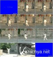 T    / Taijiquan and the practice match 2 DVD (2007) DVDRip