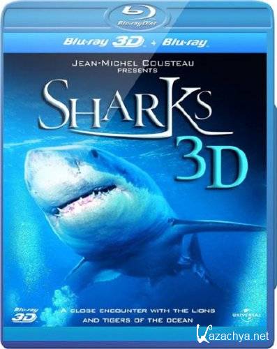   3D / Sharks 3D (2004) Blu-ray 3D 1080p + BDRip 2D 720p