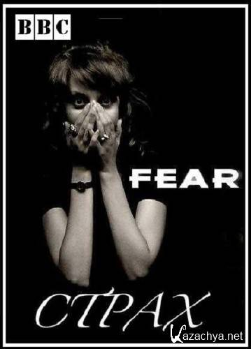 BBC: Страх / BBC: Fear (2010) SATRip