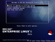 Red Hat Enterprise Linux Server 6 [i386 and x86_64] (2xDVD)