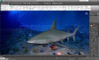 Autodesk 3ds Max 2010 Retail ISO X-Force (32/64 bit)