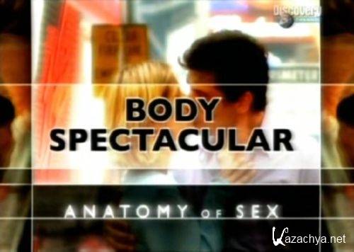 Удивительное тело: Анатомия секса  (2005,TVRip)