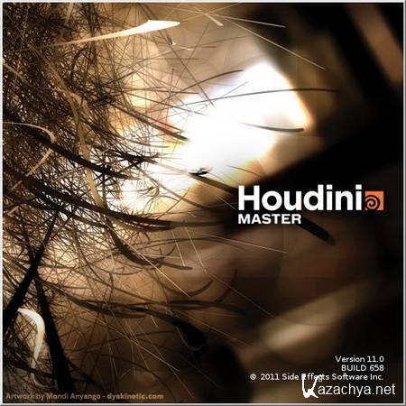 Houdini Master 11.0.658 (x86/x64/Eng)