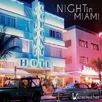  Night in Miami (2011)