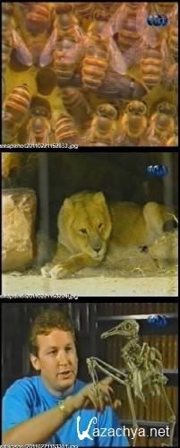 Пытливые умы / Inquiring Minds (16 серий) /1999/ TVRip Пытливые умы / Inquiring Minds (16 серий) /1999/ TVRip