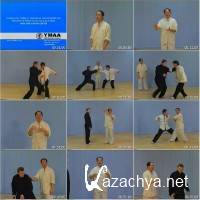  . 88  / Taiji Fighting Set - 88 Posture (2006) DVDRip