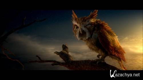    3 / Legend of the Guardians: The Owls of GaHoole 3D (2010) Blu-ray 3D