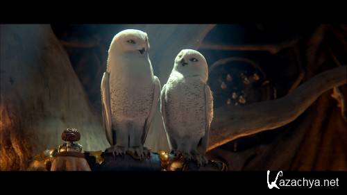    3 / Legend of the Guardians: The Owls of GaHoole 3D (2010) Blu-ray 3D