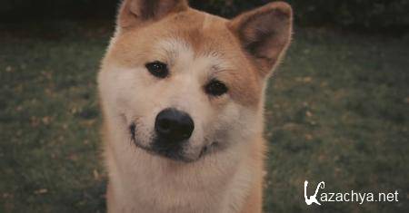 :    / Hachiko: A Dog's Story (2009) DVDRip