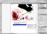 Adobe Illustrator CS5 15.0.2 PortableApps [Eng/Rus]